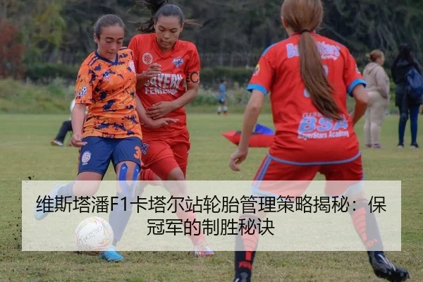维斯塔潘F1卡塔尔站轮胎管理策略揭秘：保冠军的制胜秘诀